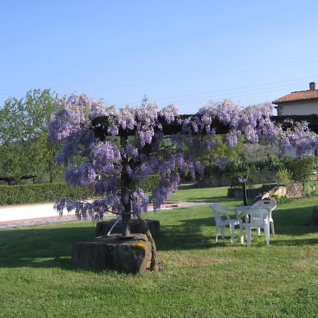 Agriturismo Villani Poderi Nesti & Cupoli لاسترا أَ سينيا المظهر الخارجي الصورة