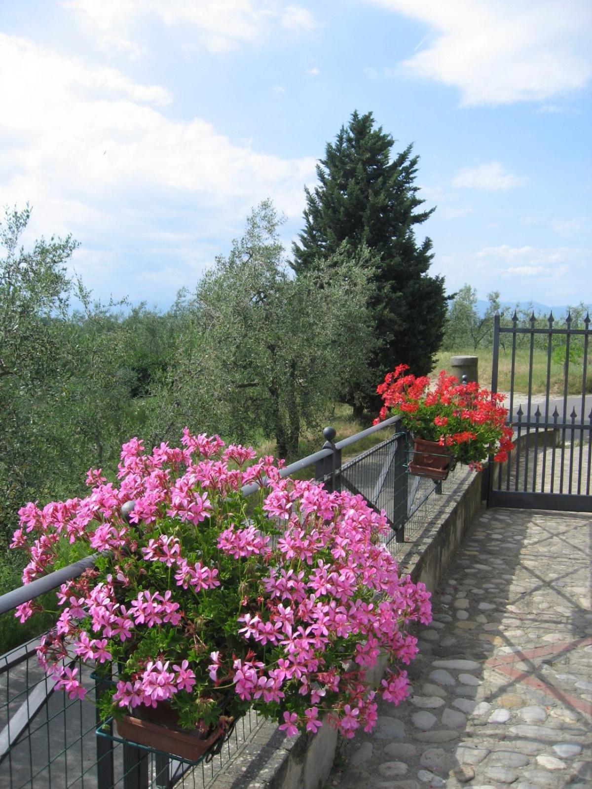 Agriturismo Villani Poderi Nesti & Cupoli لاسترا أَ سينيا المظهر الخارجي الصورة