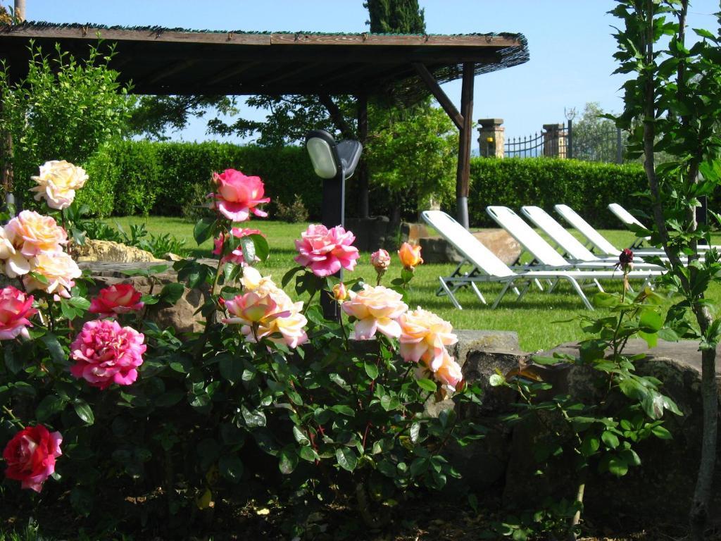 Agriturismo Villani Poderi Nesti & Cupoli لاسترا أَ سينيا المظهر الخارجي الصورة